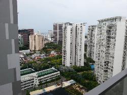 The Shore Residences (D15), Condominium #802562